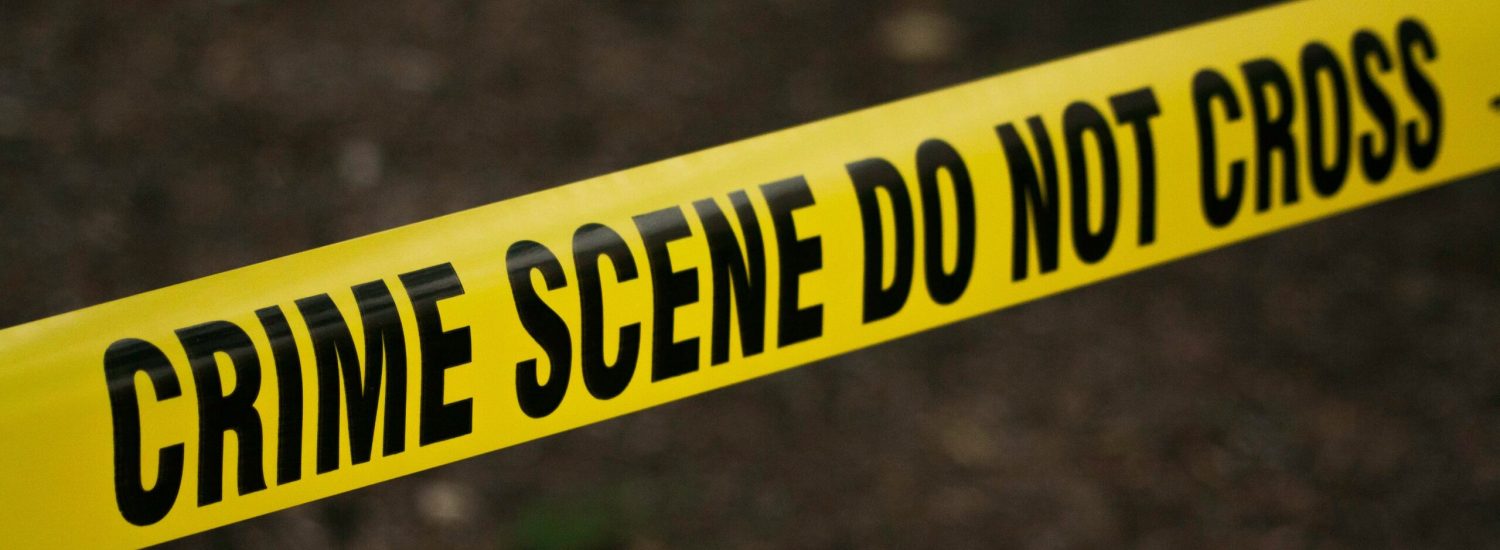 pexels-kat-wilcox-923681